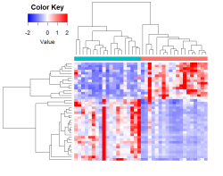 Heatmap